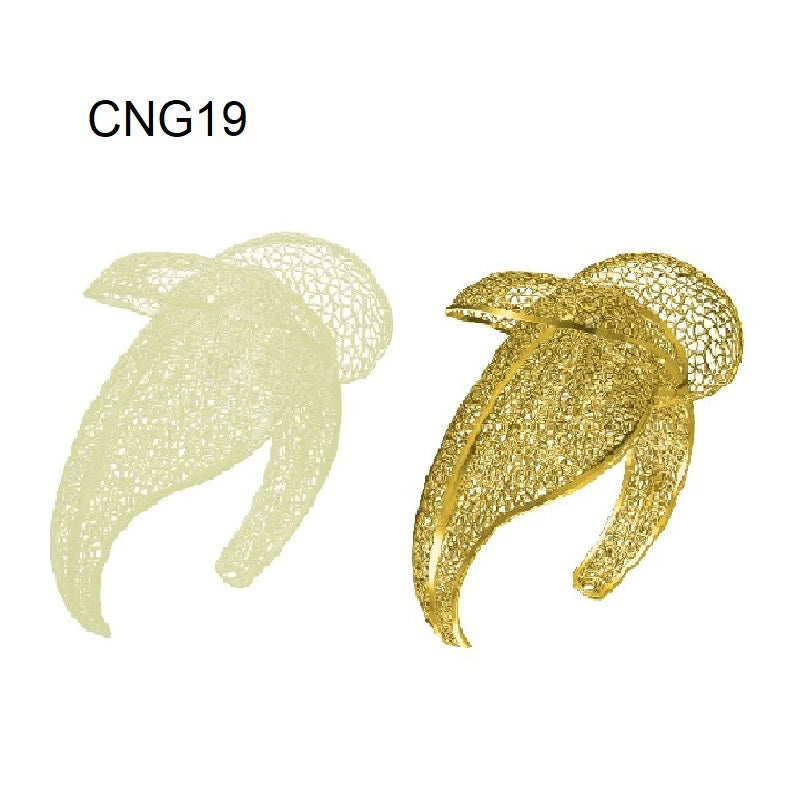 Bangle CNG19