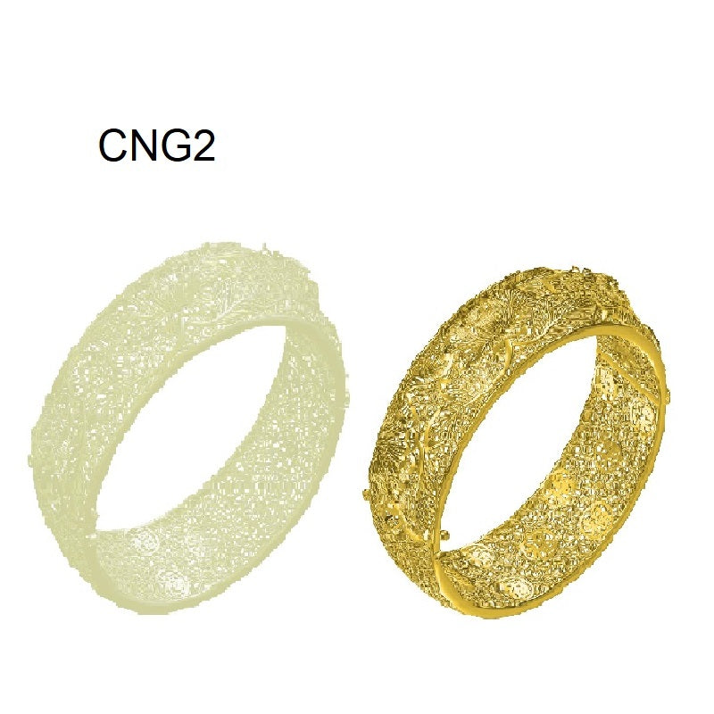 Bangle CNG2