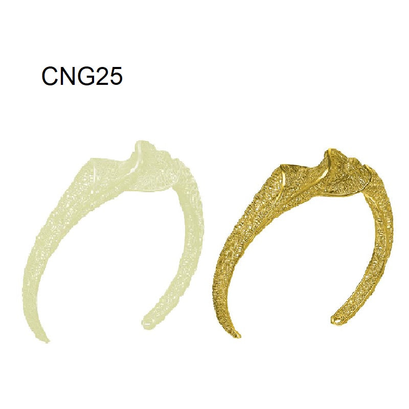 Bangle CNG25